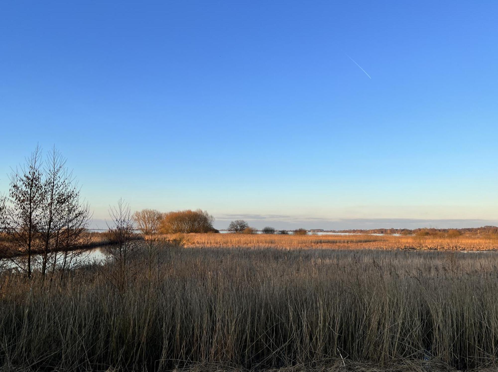 Hueder Hof Am Duemmer See Aparthotel ห้อง รูปภาพ