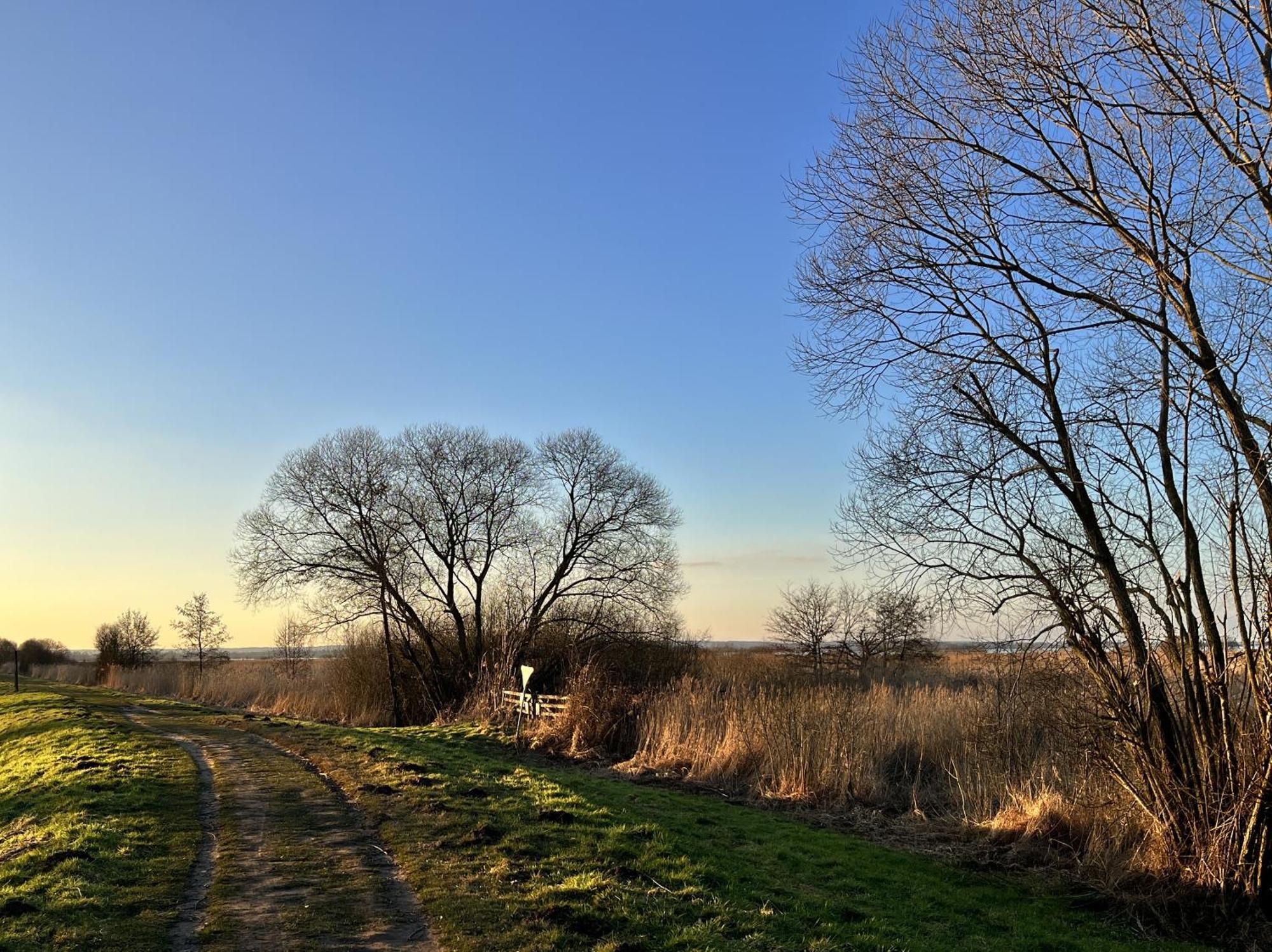 Hueder Hof Am Duemmer See Aparthotel ภายนอก รูปภาพ